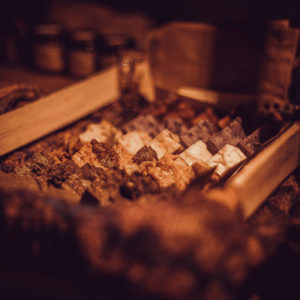 IMG 7813 Wilcza Jagoda