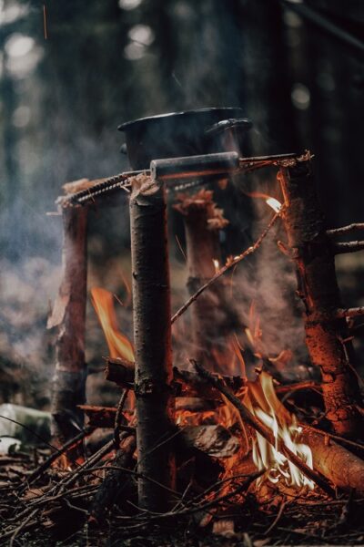 IMG 16421 1 Wilcza Jagoda