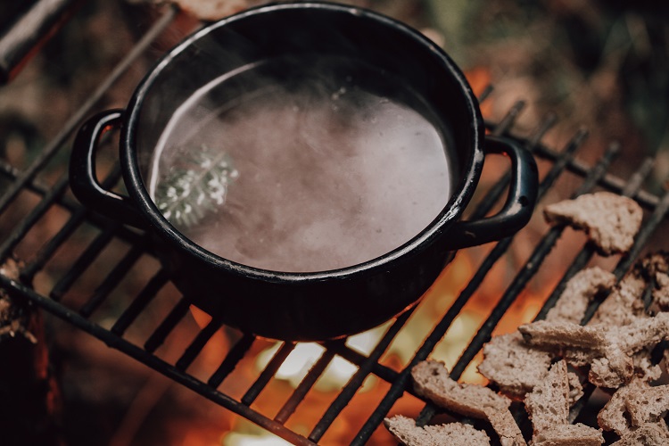 IMG 16621 Wilcza Jagoda