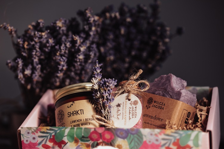 IMG 3751 4 Wilcza Jagoda