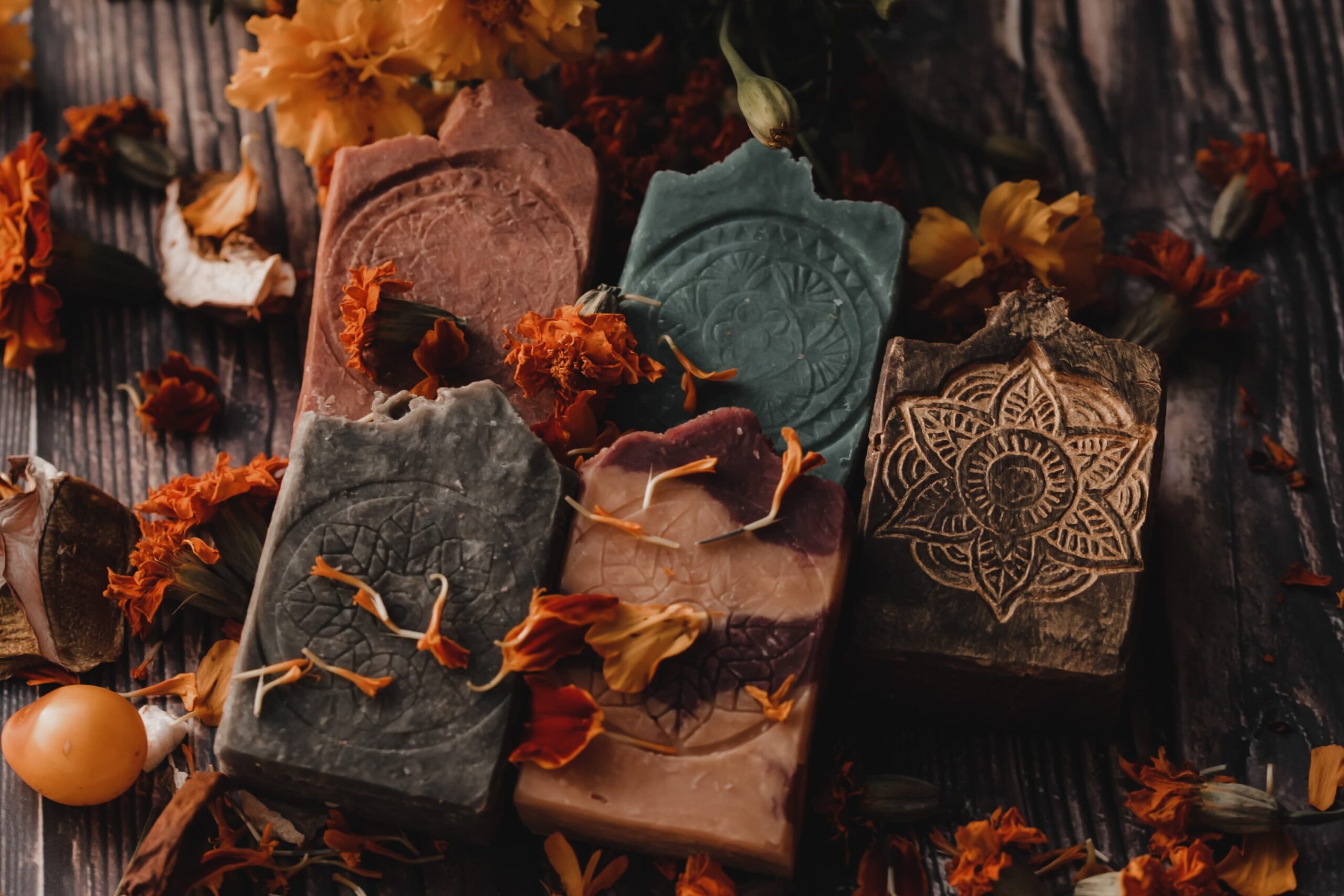 IMG 20231018 102522 711 edited scaled Wilcza Jagoda