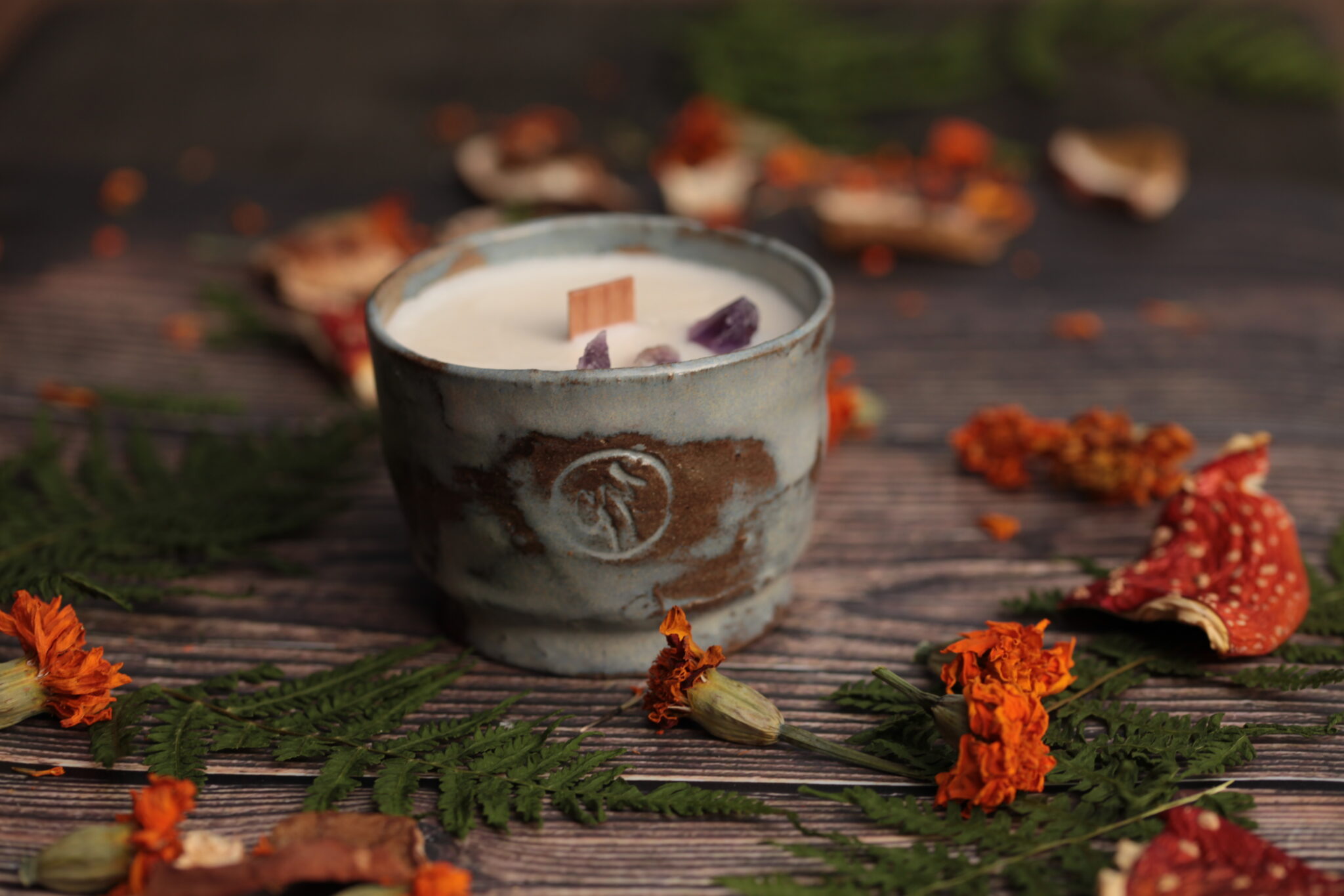 IMG 5473 Wilcza Jagoda