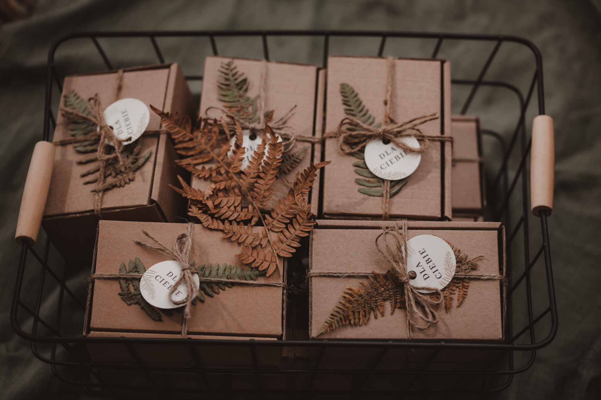 IMG 9554 1 Wilcza Jagoda