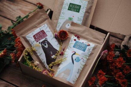 Trzypak naparow mocy 3 scaled Wilcza Jagoda