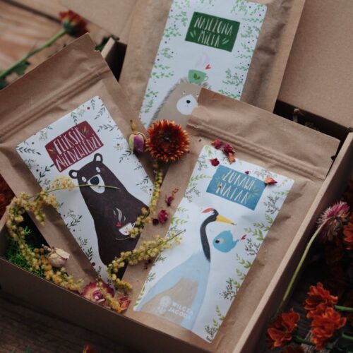 Trzypak naparow mocy 3 scaled Wilcza Jagoda