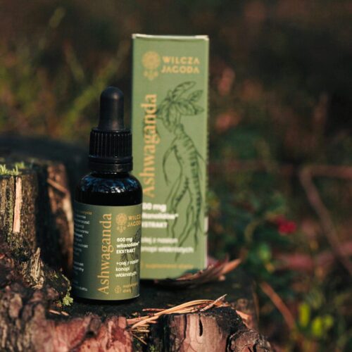 Ashwaganda scaled Wilcza Jagoda
