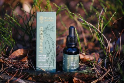 Ashwaganda 2 scaled Wilcza Jagoda