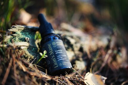 Soplowka 2 scaled Wilcza Jagoda