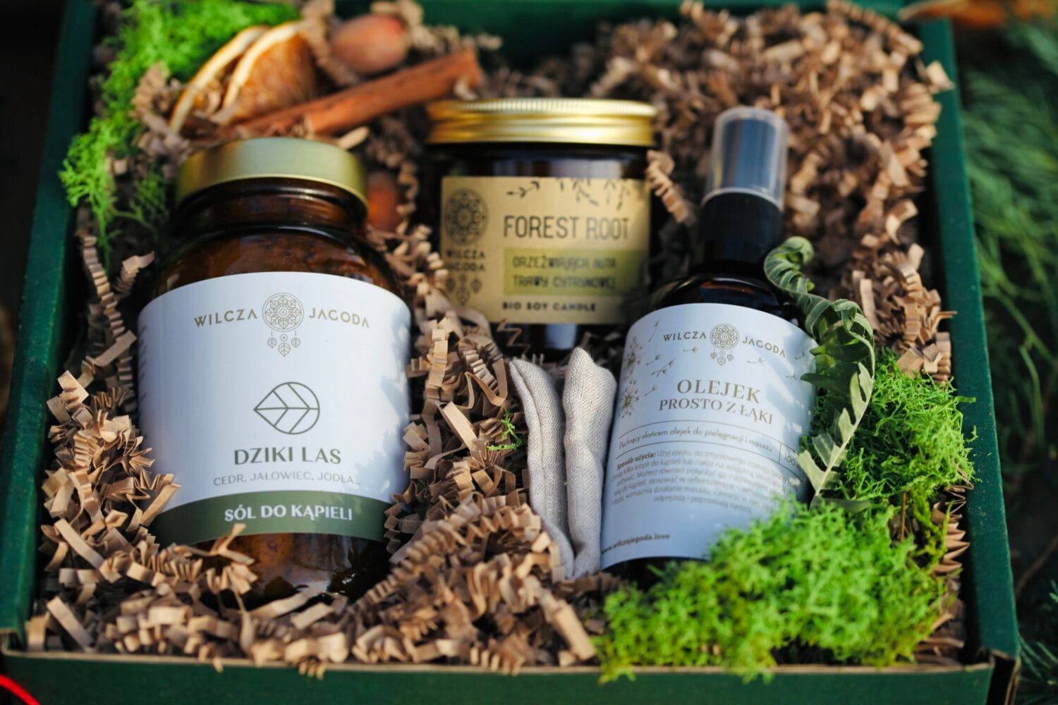 Zestaw Dziki Las 2 Wilcza Jagoda