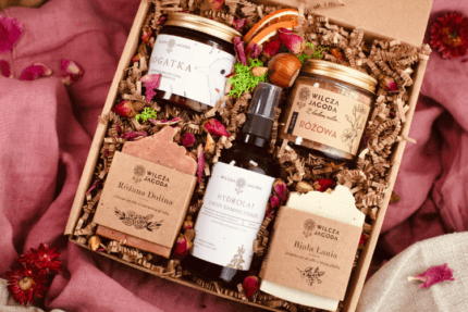 Dotyk rozy nowe Wilcza Jagoda