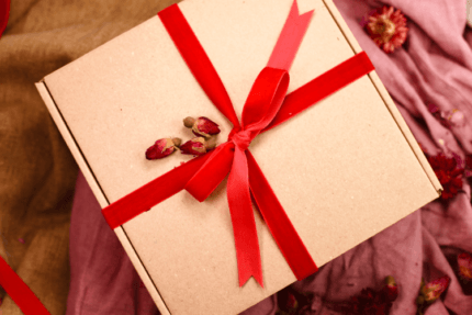 Dotyk rozy nowe 5 Wilcza Jagoda