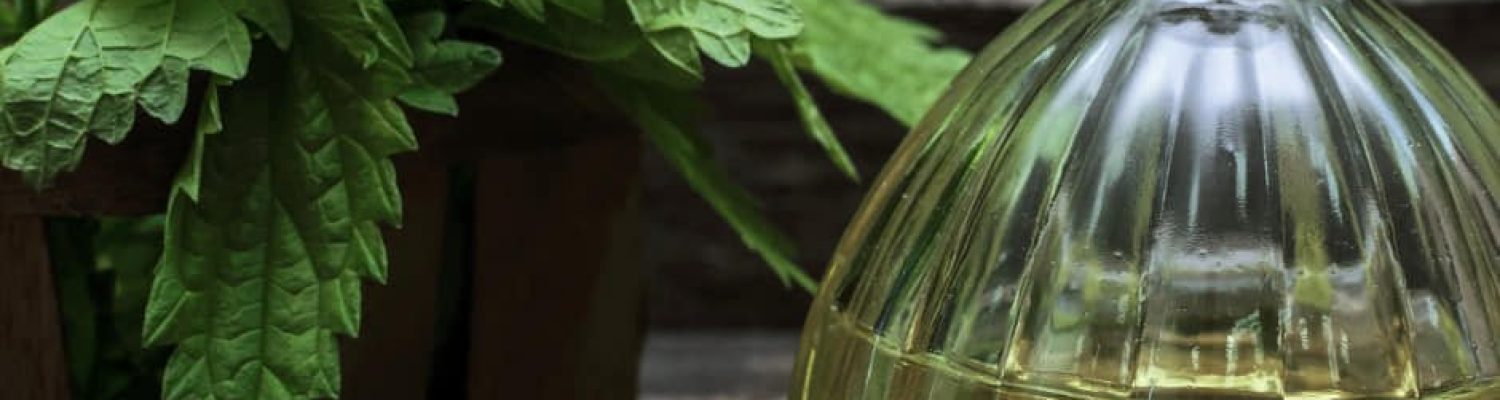 433966157_957529512793963_8969370694988851898_n