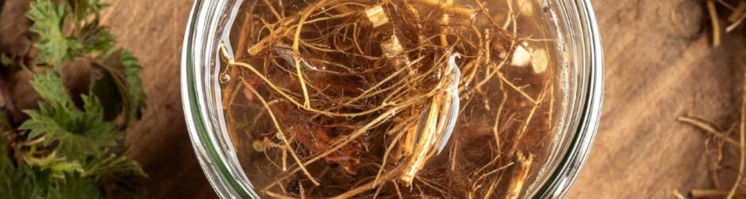 434025638_957529476127300_8651617985851499401_n