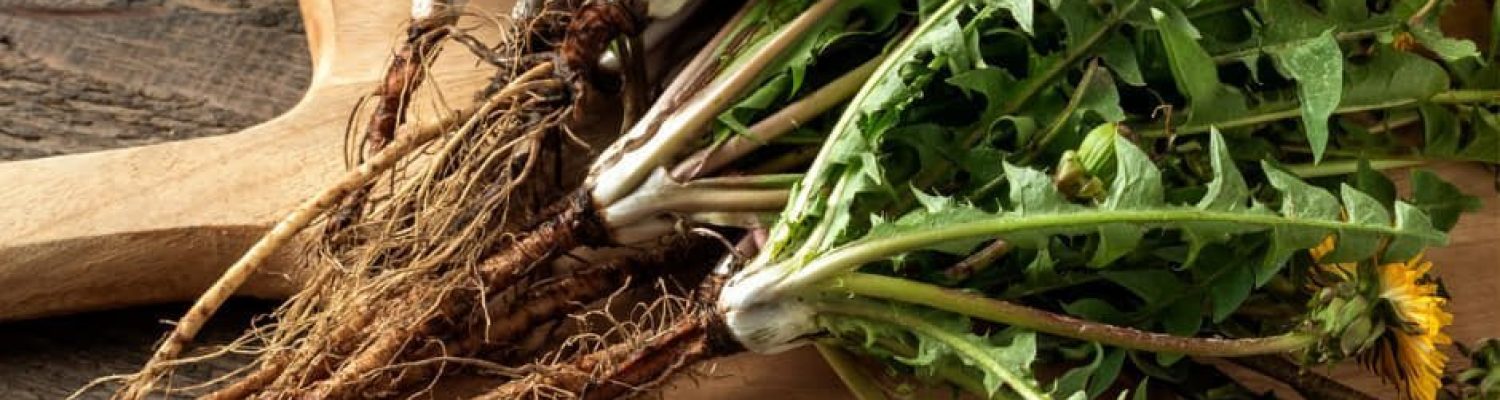 434415873_957529439460637_8183079659520650000_n